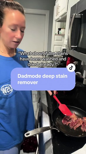 Ultimate Dad Mode Deep Stain Remover Guide
