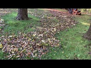 Scag Tiger Cat II with clamshell bagger leaf clean up part 2 of 2