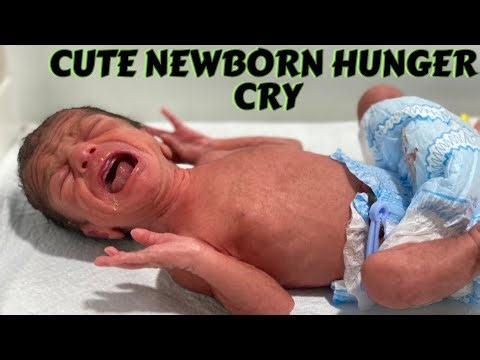 Adorable Newborn Hunger Cry 🍼 | Cutest Baby Sounds Ever!