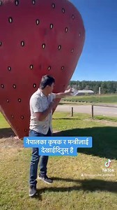 297K views · 10K reactions | आह ! कस्तो रमाईलो, नेपालमा पनि गरौ न Farming in Australia | Nepal Tube Australia | Facebook