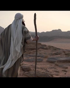 Buy the complete set of Patterns of Evidence feature films in one combo pack, including the new Journey to Mount Sinai additions! Own the full collection of feature films by filmmaker Timothy Mahoney. - Patterns of Evidence: The Exodus - Patterns of Evidence: The Moses Controversy - Patterns of Evidence: The Red Sea Miracle 1 - Patterns of Evidence: The Red Sea Miracle 2 - Patterns of Evidence: Journey to Mount Sinai 1 - Patterns of Evidence: Journey to Mount Sinai 2 These fascinating, faith-aff