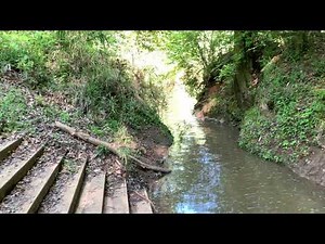 Big Lazer Creek PFA