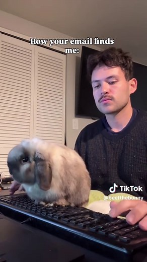 Understanding Email Communication Etiquette