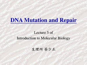 DNA Mutation and Repair - SlideServe