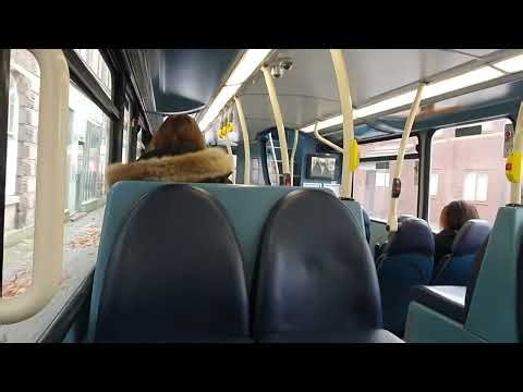 Route 437: Arriva Merseyside: 4506 (MX13AEG) Volvo B5LH/ Wright Gemini 2