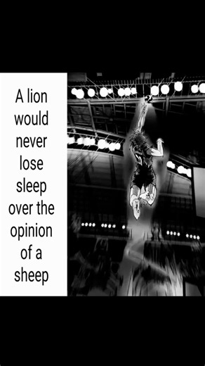 Shoyo Hinata Motivation: How Relentless Drive Beats Limits