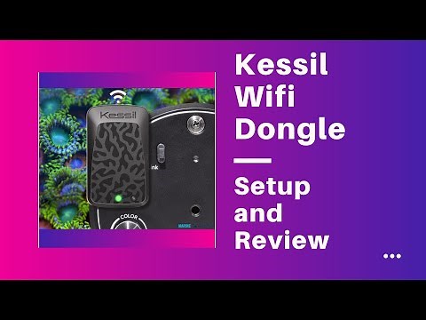 Kessil Wifi Dongle - Setup and Usage!