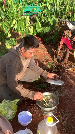 Video của Chip_py (@chippy.02012000) với bản nhạc nhạc nền - Xuân Nam ♪