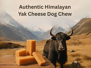 Natural Himalayan Yak Cheese Dog Chew – Long-lasting & Healthy Treat - Etsy UK
