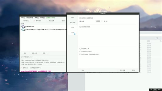 ShanaEncoder入门到入土不完全指北