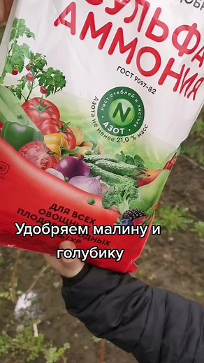 Effective Fertilizer Tips for a Thriving Garden