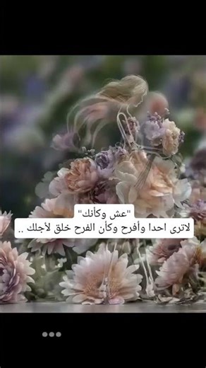 ٨ نوفمبر ٢٠٢٥