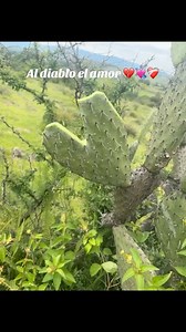 5.4K views · 20 reactions | Porque son así las ‍♀️ #eljavismemes #javismemes #memes #relajo #humor #troleando #comedia #relajo #mmds #mamadaymedia #alv #relaciones #toxicas #explorepage | Javier Miranda | Facebook