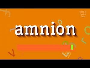 HOW TO PRONOUNCE AMNION? #amnion