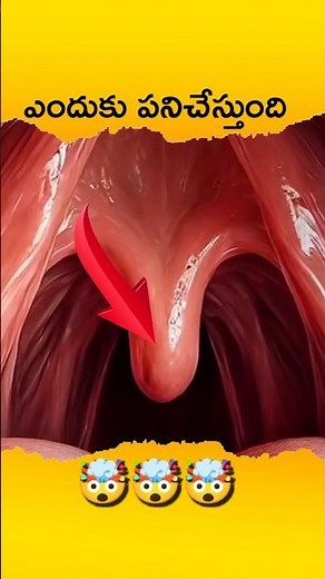 🤯 ఇది తెలుసా | Uvula Work In our body | Telugu Facts
