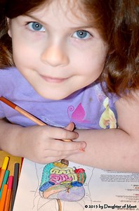 Adults With Attention Deficit Disorder: Symptoms, Treatment and How It Effects the Brain