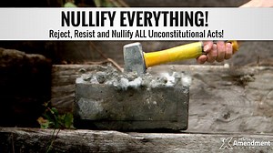 31K views · 984 reactions | Nullify Everything! A $1.3 trillion budget and $21 trillion in debt. Democrats and republicans are in it together. It's time to nullify all their unconstitutional acts! | Tenth Amendment Center | Facebook