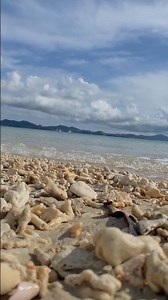 沖縄の波の音🌊 2