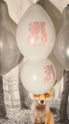 Pump to Pop 2 Advertising Balloons glued together inside out #balloon #balloonpop