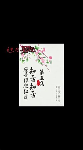 知否知否应是绿肥红瘦（5） #影视解说热门 #古装情感剧推荐