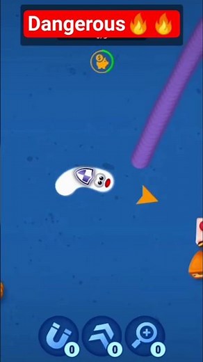 "The Hidden Life of the Worm Snake"