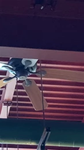52" Hampton Bay Quick Connect Ceiling Fans At Chinese Restaurant (YouTube Short).