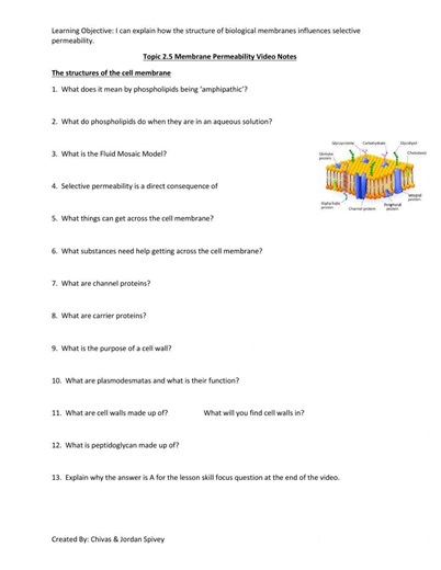 AP Biology Topic 2.5 - Membrane Permeability Video Notes worksheet