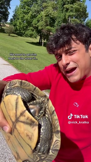 Turtle Rescue Mission: Saving Turtles and Ensuring their Survival