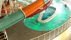 21K views · 37 reactions |  Look what’s just been added to our site…...