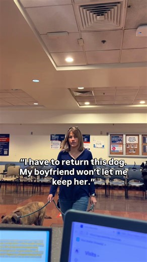 It takes a village to care for the animals at MCACC! We have many different teams at the shelter, all playing a vital role in making sure dogs in our community are intaked safely, cared for, and adopted into forever homes. To learn more about how you can help the hundreds of animals in our care, visit Maricopa.gov/Pets. | Maricopa County Animal Care & Control