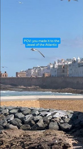 The Best Day trip from Agadir, Morocco | Essaouira, Morocco 🌊