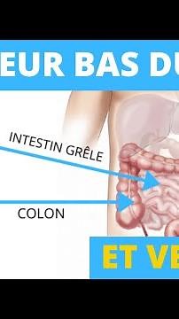 Douleur bas du dos et ventre : quel lien existe-t-il ?