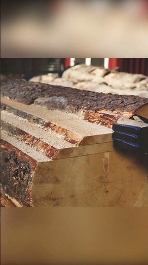 Best band sawmill in the world! Logosol B1001 | LOGOSOL
