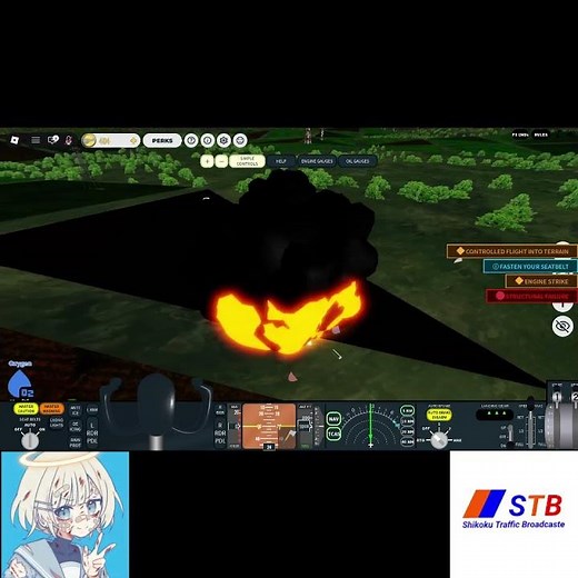 あのお方に再びやられました #ゲーム #plane #simulator