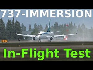 [FSX] PMDG + 737-IMMERSION!! IN-FLIGHT TEST