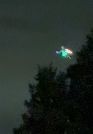 Experiencing Tinkerbell's Magical Flight at Magic Kingdom