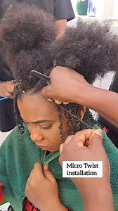 8.6K reactions · 375 shares | We make your natural hair come alive at Lola's..... Micro Twist with Client's natural hair beautifully installed | Lola's Locs & Natural Hair Studio | Facebook
