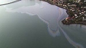Chevron spill causes no wildlife damage so far; refinery trying to determine what material leaked into SF Bay