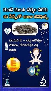 What Happens to Your Body When You Eat Sunflower Seeds Every Day| Benefits And Risks