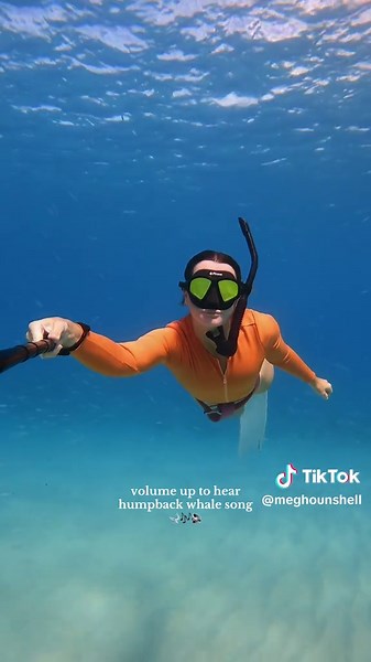the humpback whales are making their way back!! 🐋 throw back to last years whale season when I captured the whale song on my @GoPro 🤿 #whale #freediver #hawaii #fyp #gopro