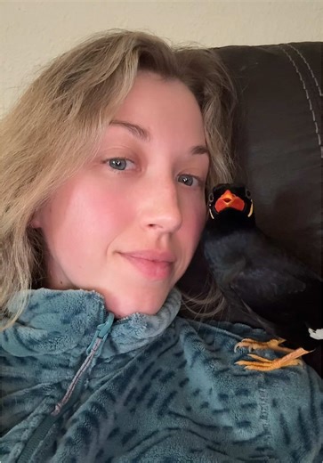 Engaging Talking Bird: Meet Argyle the Mynah