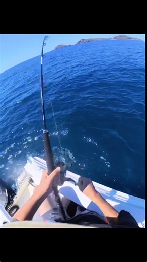 Extremely stoked with catching this king 🔥👑 Went 108cm with a fight for over 3 1/2 mins @Daiwa Australia #fyp #fishing #abcxyz #fishtok #kingfish