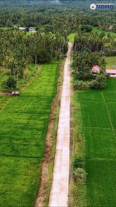 23K views · 603 reactions | We have officially turned over the newly completed concrete road connecting Brgy. Unidos to Brgy. Jubang to Brgy. Sumo-Sumo. We also turned over the newly constructed multipurpose building for the residents of Brgy. Unidos, Tago, Surigao del Sur. Congratulations, Brgy. Unidos!  | Congressman Romeo S. Momo Sr. | Facebook