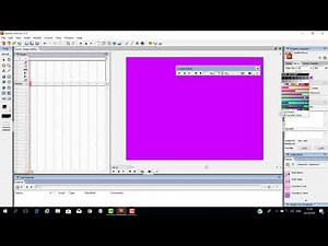 Adobe Director 11.5 Introduction