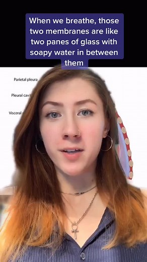 Understanding Lung Collapse: Physiology Facts Explained