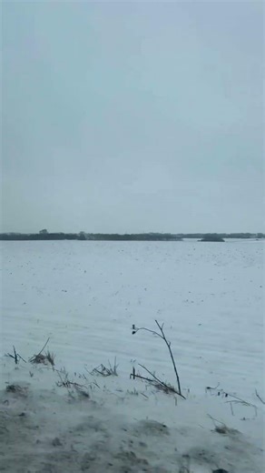 White Denmark landscape