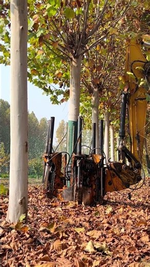 Excavator turned into a powerful Tree Digging Robot! 🤖