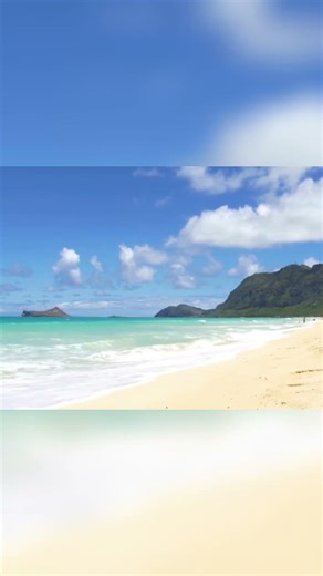 Hawaii's Tropical Beach Beauty in 4K #shorts