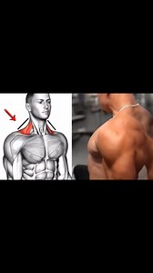 427K views · 6.1K reactions | 7 BEST TRAPS EXERCISES FOR BIGNARS | Gym bodybulding & fitness | Facebook