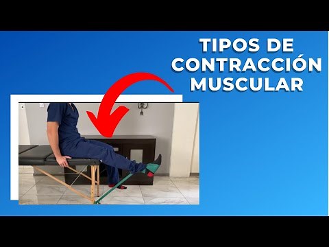 Tipos de Contracción Muscular (Isotónica, Isométrica, Isocinética)
